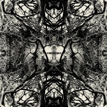 Death Race by The Swell Fellas - album cover