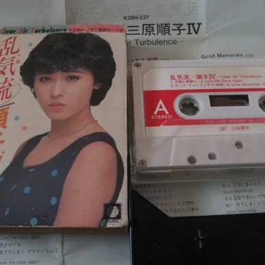 乱気流 順子Ⅳ