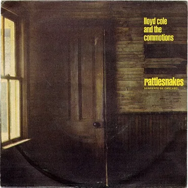 Rattlesnakes = Serpiente De Cascabel