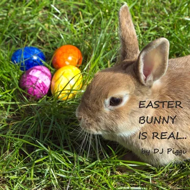 Easter Bunny Is Real