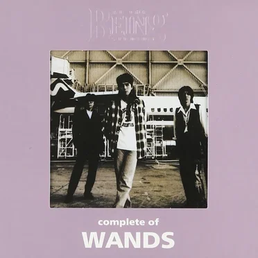 complete of WANDS at the BEING studio