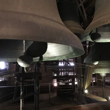 415 steppsss to DingggDonggg Paradise