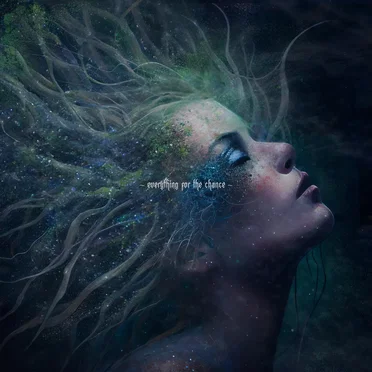Everything for the Chance by Break My Fucking Sky - album cover