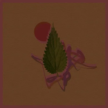 Real-Time Flows by Wataru Iwata - album cover