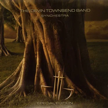 Synchestra by The Devin Townsend Band - album cover