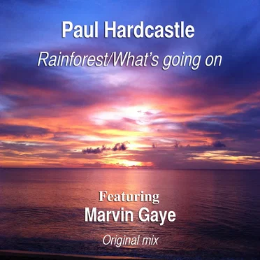 Rainforest/What's Going On (original mix)