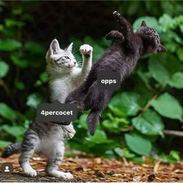 Success