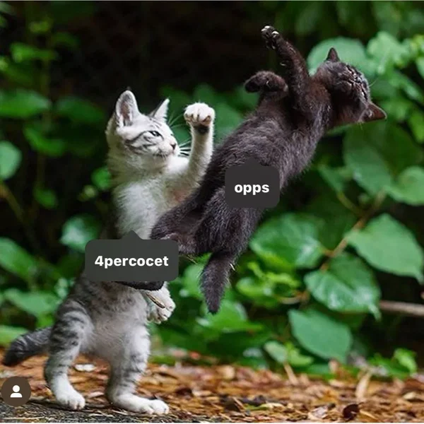 Success