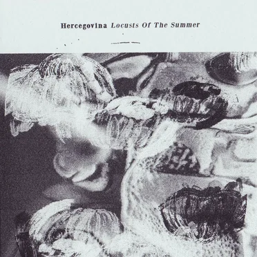 Locusts of the Summer by Hercegovina - album cover