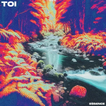 Essence by TOI - album cover