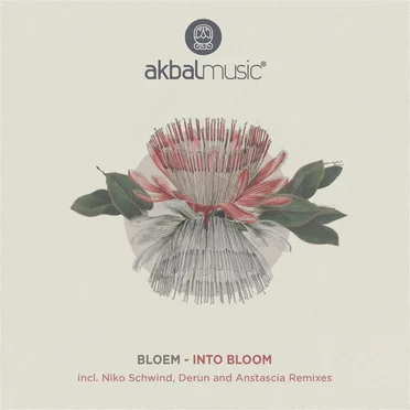 Into Bloom by Bloem - album cover
