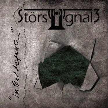 "Im Enddefekt…" by Störsignal 3 - album cover