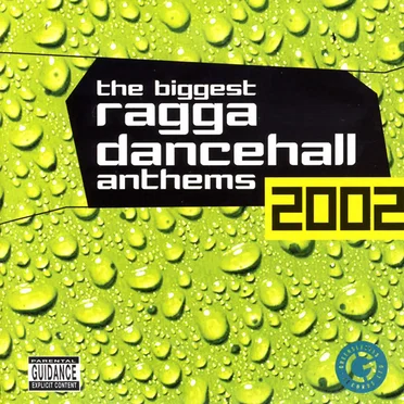 The Biggest Ragga Dancehall Anthems 2002 by Various Artists - album cover