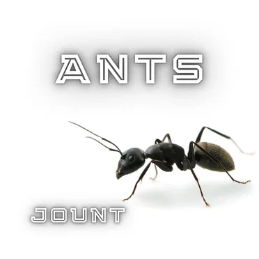 Ants