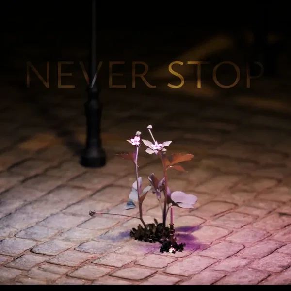 Never Stop