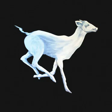 Gift Horse by Cloud Cafe - album cover