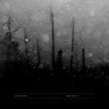 Ghost Paths I–V
