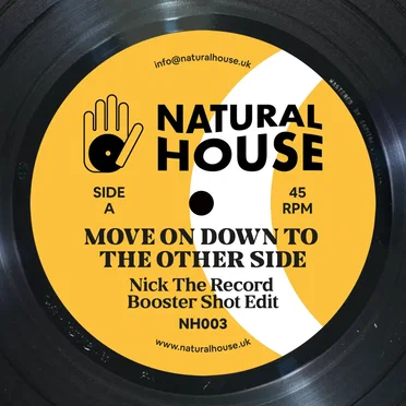 Move On Down To The Other Side by Nick the Record - album cover