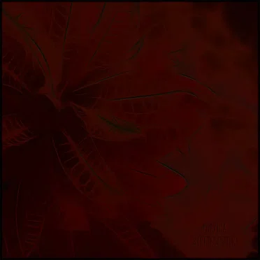 synthacardium by Proxima - album cover