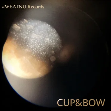 Radius Nation by Cup and Bow - album cover