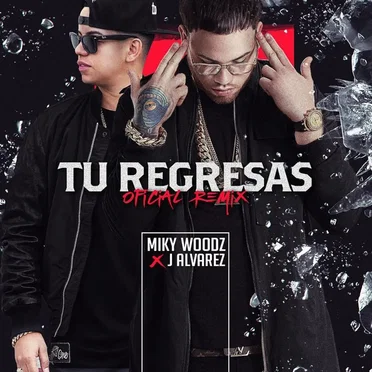 Tú regresas (remix)