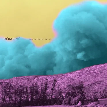 Sympathetic Nerves by Déraciné - album cover
