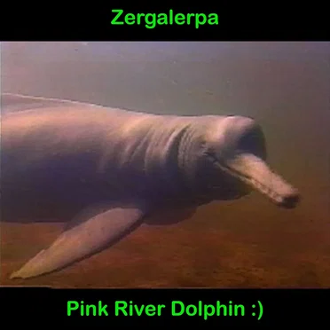 Pink River Dolphin :) by Zergalerpa - album cover