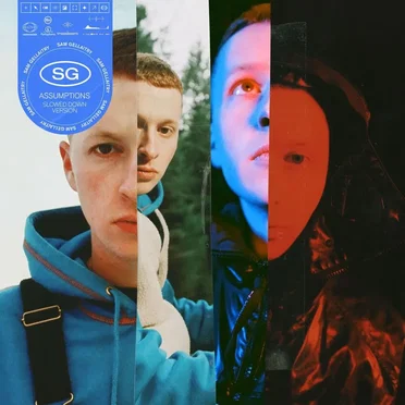 Assumptions (slowed down version)