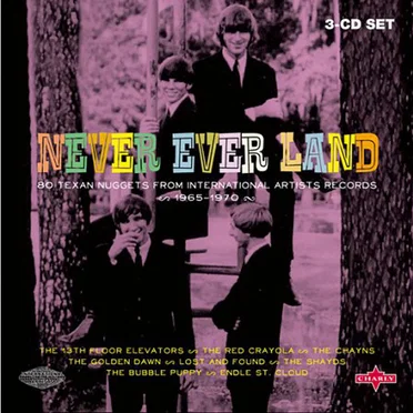 Never Ever Land (83 Texan Nuggets From International Artists Records 1965-1970) by Various Artists - album cover