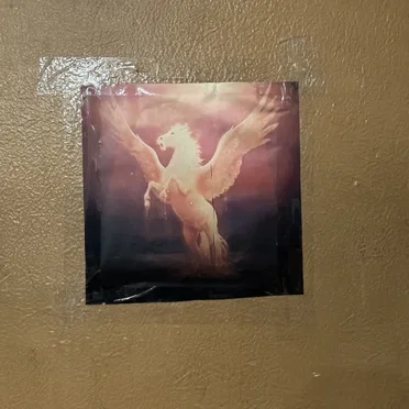 PEGASUS