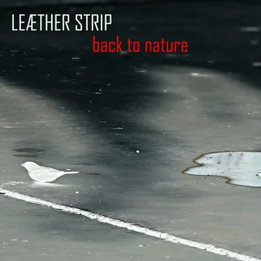 Back to nature (Fad Gadget cover)