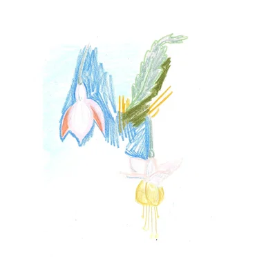 Staring Back / Boy Scouts by Staring Back - album cover