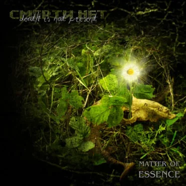 Death Is Not Present by Matter of Essence - album cover