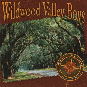 When I Get Back to Georgia by Wildwood Valley Boys - album cover