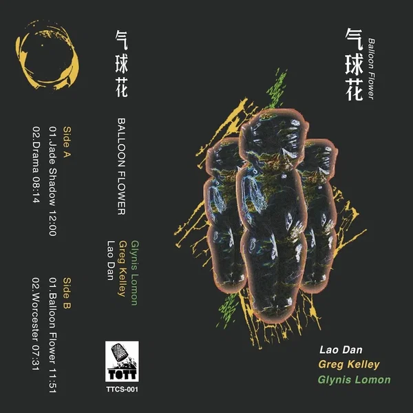 气球花 Balloon Flower