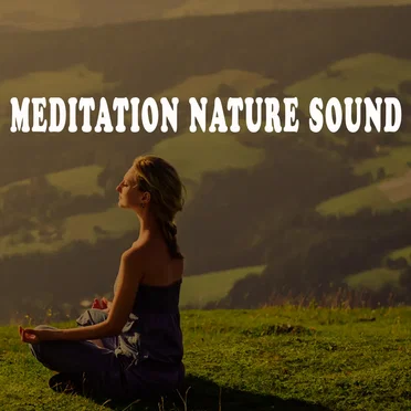 Meditation Nature Sound by Various Artists - album cover