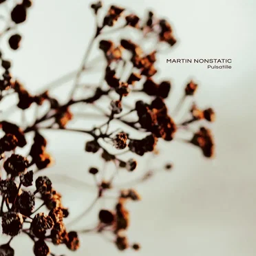 Pulsatille by Martin Nonstatic - album cover