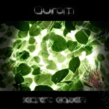 Secret Garden by aurom - album cover