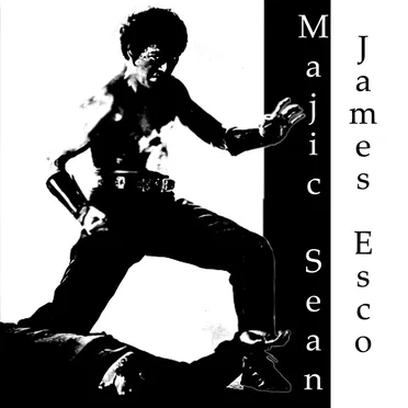 Masters of Faser Fu
