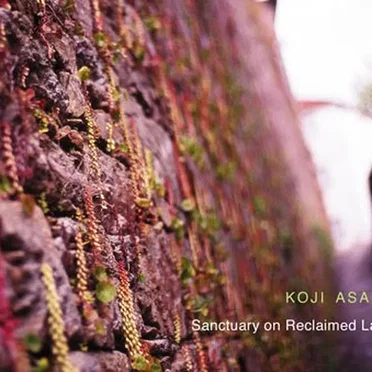 Sanctuary on Reclaimed Land