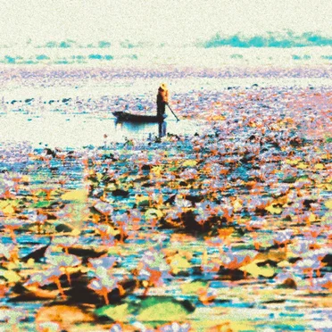 somewhere else forever