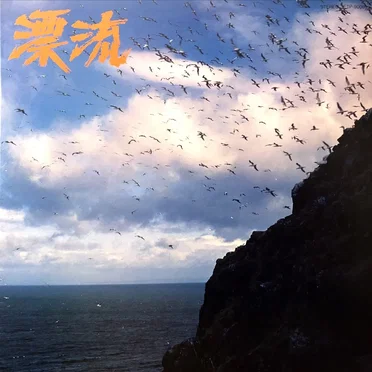 漂流 by Cosmos - album cover