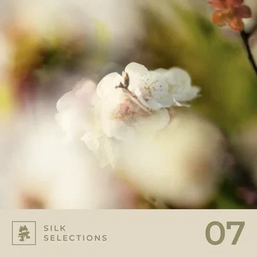 Silk Selections 07 by Various Artists - album cover