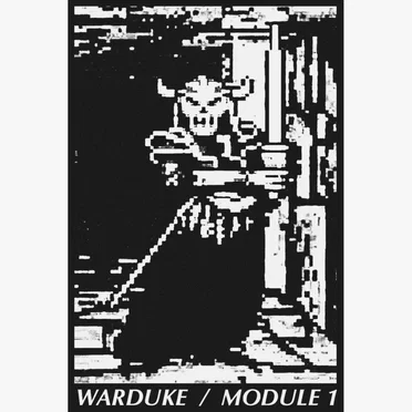 MODULE 1