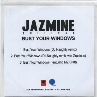 Bust Your Windows
