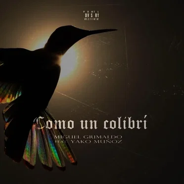 Como un colibrí