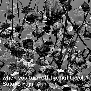 When You Turn Off the Light Vol.1