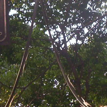 Electronic Harassment 4–5