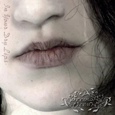 In Your Dry Lips
