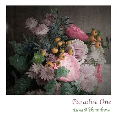 Paradise One
